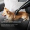 Фото - Аккумуляторный моющий пылесос Cecotec Conga Immortal ExtremeSuction 22.2 Animal Hand CCTC-05441 (8435484054416) | click.ua
