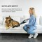 Фото - Аккумуляторный моющий пылесос Cecotec Conga Popstar Micro 18,5V Animal Hand CCTC-05540 | click.ua