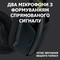 Фото - Bluetooth-гарнітура Logitech G435 Wireless Black (981-001050) | click.ua