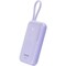 Фото - Универсальная мобильная батарея Canyon OnPower 101 10000mAh Purple (CNS-CPB101PU) | click.ua