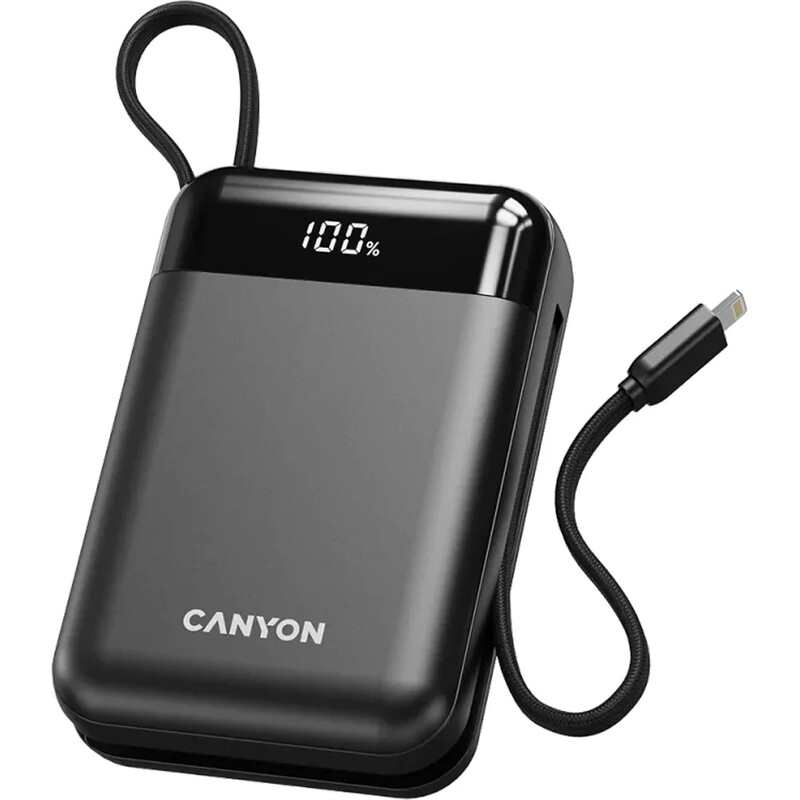 Универсальная мобильная батарея Canyon OnPower 204 20000mAh Black (CNS-CPB204B)
