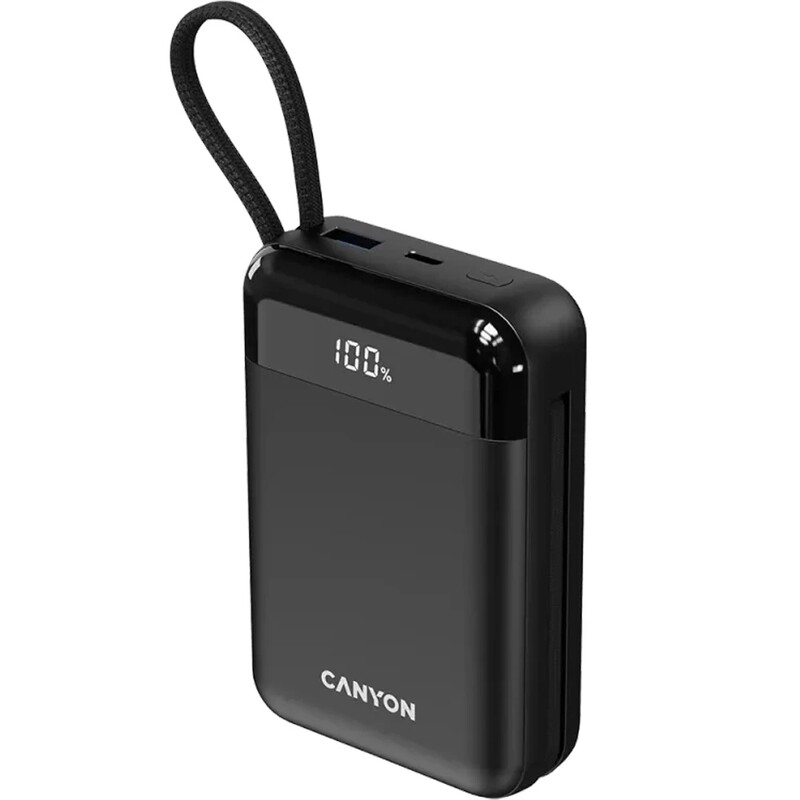 Универсальная мобильная батарея Canyon OnPower 204 20000mAh Black (CNS-CPB204B)