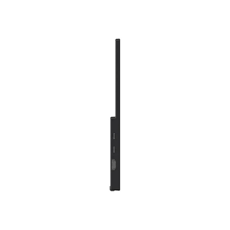 Монитор портативный MSI 15.6" Pro MP165 E6 IPS Black