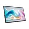 Фото - Монитор портативный MSI 15.6" Pro MP165 E6 IPS Black | click.ua