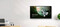 Фото - Дисплей 86" BenQ RE8604A (9H.FAPTK.DE4) IPS Black | click.ua