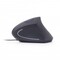 Фото - Мишка Gembird MUS-ERGO-01 Black USB | click.ua