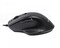 Фото - Мышь Maxxter Mc-6B01 Black | click.ua