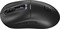 Фото - Мышь Lorgar Advanced MSA10W Wireless Black (LRG-MSA10W-BK) | click.ua