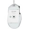 Фото - Мышь Lorgar Pro MSP80 Wired USB White (LRG-MSP80-WH) | click.ua