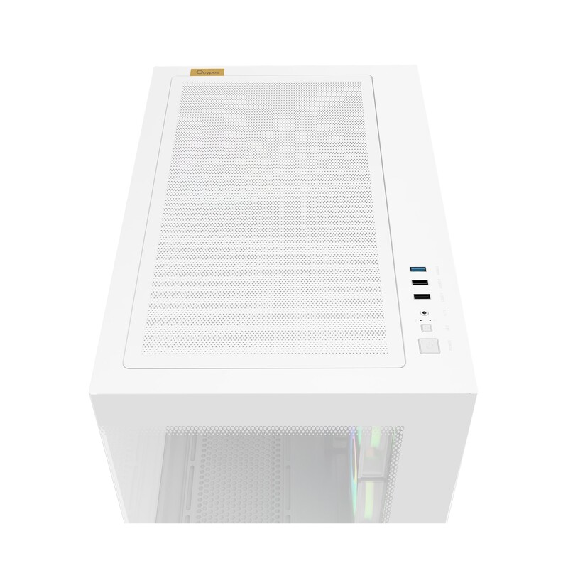Корпус Ocypus Gamma C54 ARGB White (GAMMA-C54-WHD300XX-GL)