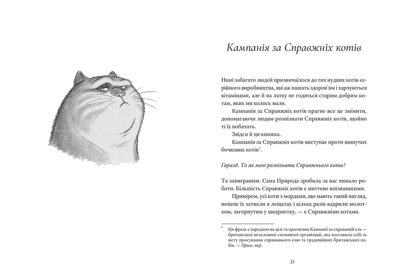 Самый настоящий кот / Терри Пратчетт
