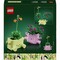 Фото - Конструктор LEGO Botanicals Качающиеся растения (11506) | click.ua