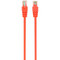 Фото - Патч-корд FTP Cablexpert (PP22-0.5M/O) cat.5Е, литий, 50u штекер із засувкою, 0.5м, помаранчевий | click.ua