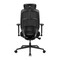 Фото - Кресло для геймеров AeroCool SKY 360 Mesh Black (TEGC-3105101.11) | click.ua