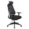 Фото - Крісло для геймерів AeroCool SKY Lite Mesh Black (TEGC-3106101.11) | click.ua
