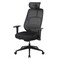 Фото - Крісло для геймерів AeroCool SKY Lite Mesh Black (TEGC-3106101.11) | click.ua
