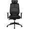 Фото - Крісло для геймерів AeroCool SKY Lite Mesh Black (TEGC-3106101.11) | click.ua