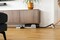 Фото - Аккумуляторный моющий пылесос Gorenje SFC216100G | click.ua