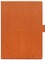 Фото - Чохол-книжка PocketBook Magnetic Folio для PocketBook 1030 Orange (MF-1030-DOG-WW) | click.ua