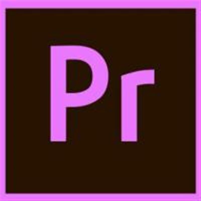 Adobe Premiere Pro for teams ALL Multiple Platforms Multi European Languages Team Licensing Subscription New 1 User Level 1 1 - 9 (65297627BA01A12)
