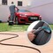 Фото - Моющий пылесос Cecotec Conga CarpetClean 10000 EasyHome (ССТС-08573) | click.ua