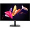 Фото - Монітор Aiwa 24.5" MF2528 IPS Black 100Hz | click.ua