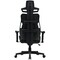 Фото - Кресло для геймеров Canyon Morphos ABCH01 Black (CNS-ABCH01BW) | click.ua