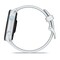 Фото - Смарт-годинник Garmin Forerunner 70 GPS Whitestone (010-04307-01) | click.ua