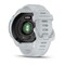 Фото - Смарт-годинник Garmin Forerunner 70 GPS Whitestone (010-04307-01) | click.ua