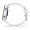 Фото - Смарт-часы Garmin Forerunner 170 GPS Whitestone/Cloud Blue (010-03920-01) | click.ua