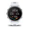Фото - Смарт-часы Garmin Forerunner 170 GPS Whitestone/Cloud Blue (010-03920-01) | click.ua