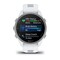 Фото - Смарт-часы Garmin Forerunner 170 Music GPS Whitestone/Cloud Blue (010-03920-11) | click.ua
