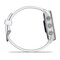 Фото - Смарт-часы Garmin Forerunner 170 Music GPS Whitestone/Cloud Blue (010-03920-11) | click.ua