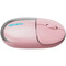 Фото - Миша бездротова Canyon OnClick 24 Wireless Pink (CNS-CMSW24P) | click.ua