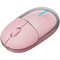 Фото - Миша бездротова Canyon OnClick 24 Wireless Pink (CNS-CMSW24P) | click.ua