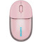 Фото - Миша бездротова Canyon OnClick 24 Wireless Pink (CNS-CMSW24P) | click.ua