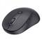 Фото - Мышь беспроводная Baseus F02 Ergonomic Black (B0203203) | click.ua