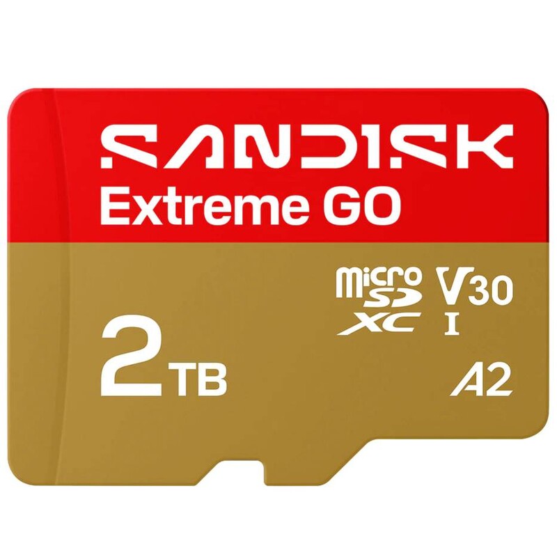Карта памяти MicroSDXC 2TB UHS-I/U3 A2 Class 10 SanDisk Extreme Go (SDSQXGN-2T00-GN6MN)