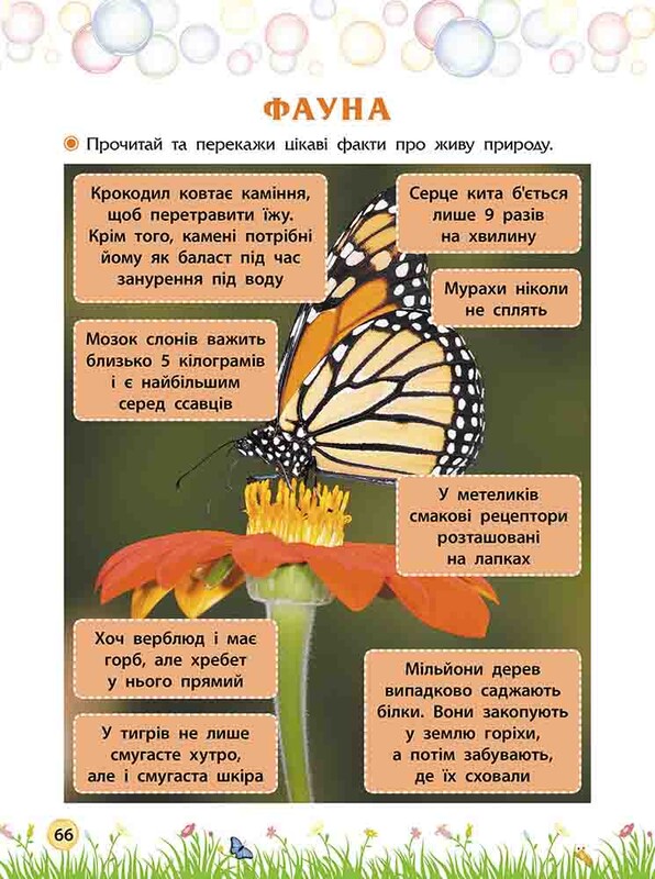 Секреты знаний. Встречай 4 класс