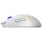 Фото - Миша бездротова Proove Gaming Buzz White (WMBU00022402) | click.ua