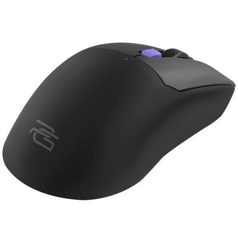 Мышь беспроводная Proove Gaming Everon Black (WMEV00022001)