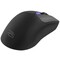 Фото - Мышь беспроводная Proove Gaming Everon Black (WMEV00022001) | click.ua