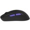 Фото - Мышь беспроводная Proove Gaming Everon Black (WMEV00022001) | click.ua