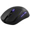 Фото - Мышь беспроводная Proove Gaming Everon Black (WMEV00022001) | click.ua