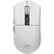 Фото - Миша бездротова Proove Gaming Jester 8K White (WMJS00022002) | click.ua