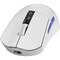 Фото - Миша бездротова Proove Gaming Jester 8K White (WMJS00022002) | click.ua