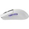 Фото - Миша бездротова Proove Gaming Jester 8K White (WMJS00022002) | click.ua