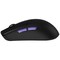 Фото - Миша бездротова Proove Gaming Jester 8K Black (WMJS00022001) | click.ua