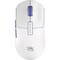 Фото - Миша бездротова Proove Gaming RC Raider 8K White/Purple (WMRR00122017) | click.ua