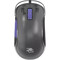 Фото - Миша Proove Gaming Gaming Blaze Black/Purple (GMBL00102001) | click.ua